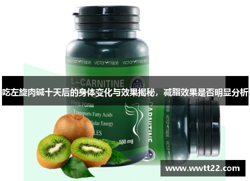 吃左旋肉碱十天后的身体变化与效果揭秘,减脂效果是否明显分析 吃左旋肉碱十天后的身体变化与效果揭秘,减脂效果是否明显分析