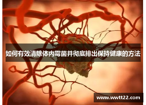 如何有效清除体内霉菌并彻底排出保持健康的方法 如何有效清除体内霉菌并彻底排出保持健康的方法