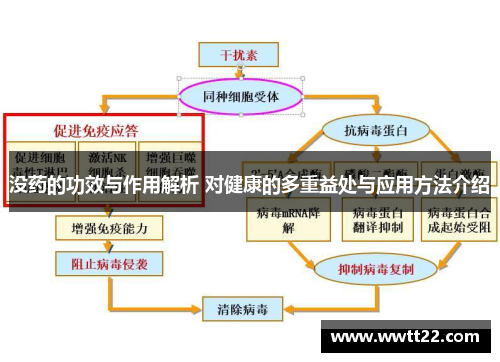 没药的功效与作用解析 对健康的多重益处与应用方法介绍
