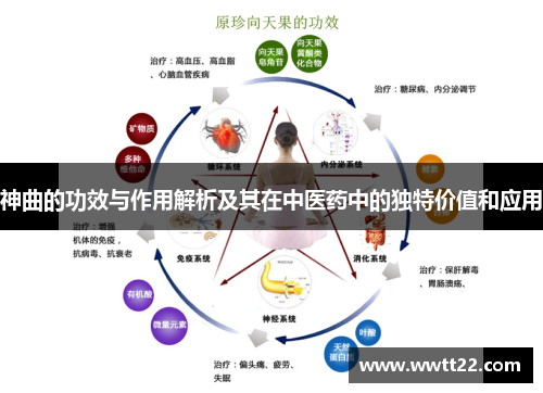 神曲的功效与作用解析及其在中医药中的独特价值和应用