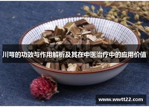 川芎的功效与作用解析及其在中医治疗中的应用价值