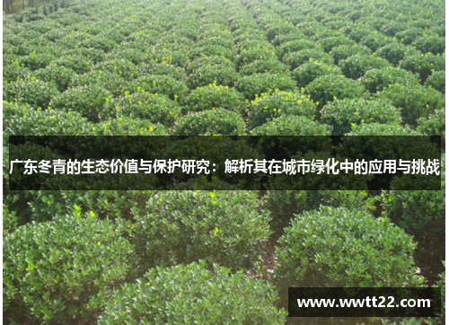 广东冬青的生态价值与保护研究：解析其在城市绿化中的应用与挑战
