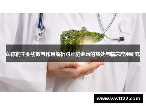 茵陈的主要功效与作用解析对肝脏健康的益处与临床应用研究 茵陈的主要功效与作用解析对肝脏健康的益处与临床应用研究