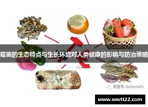 霉菌的生态特点与生长环境对人类健康的影响与防治策略